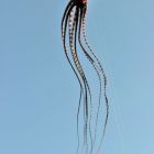 IMG_7608.jpg