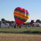 image113.jpg
