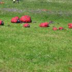 image014.jpg