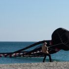 IMG_7562.jpg