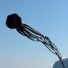 IMG_7558.jpg