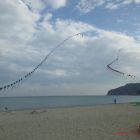 image103.jpg