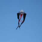 f-tail7m.jpg