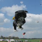 image011.jpg