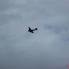 image015.jpg