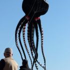 IMG_7537.jpg