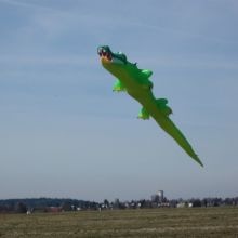 Kroko9m.jpg