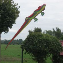 Kroko28m.jpg