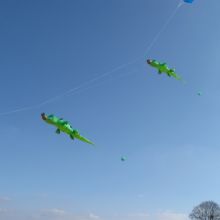 kroko5m.jpg
